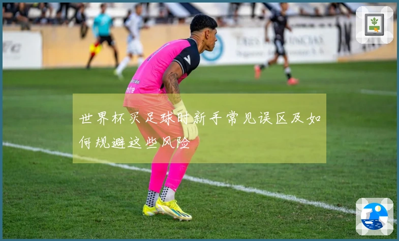 世界杯买足球时新手常见误区及如何规避这些风险