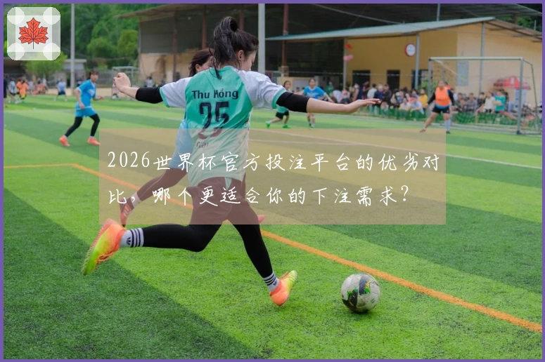 2026世界杯官方投注平台的优劣对比，哪个更适合你的下注需求？