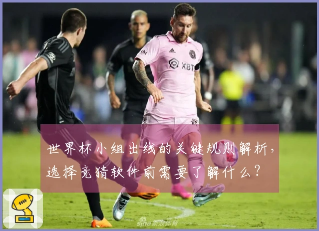世界杯小组出线的关键规则解析，选择竞猜软件前需要了解什么？
