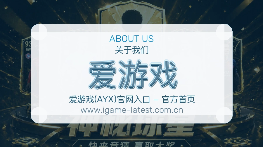 关于 爱游戏